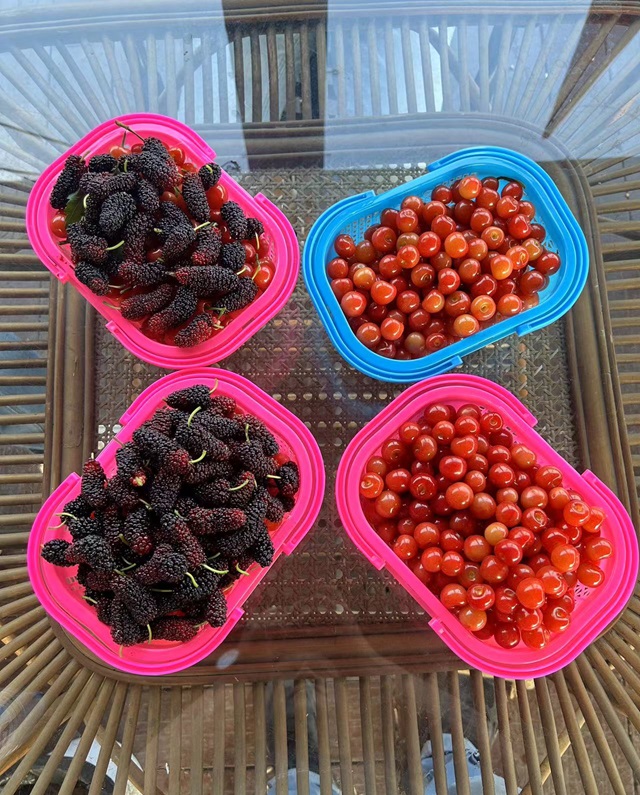 公司团建户外活动